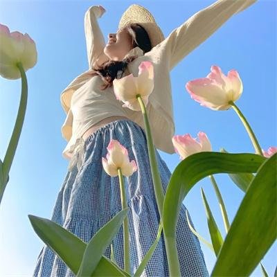 鸭乃桥论的禁忌推理第二季