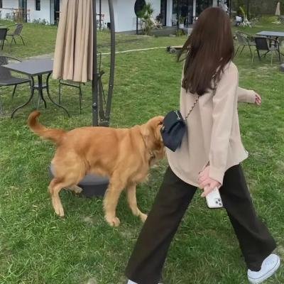 欢乐一家亲第九季
